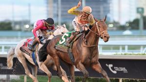 Skippylongstocking Wins Pegasus World Cup, Test Score Tops Undercard on Turf